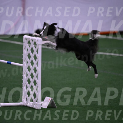 Keeper-Laurie-Wischt-02568