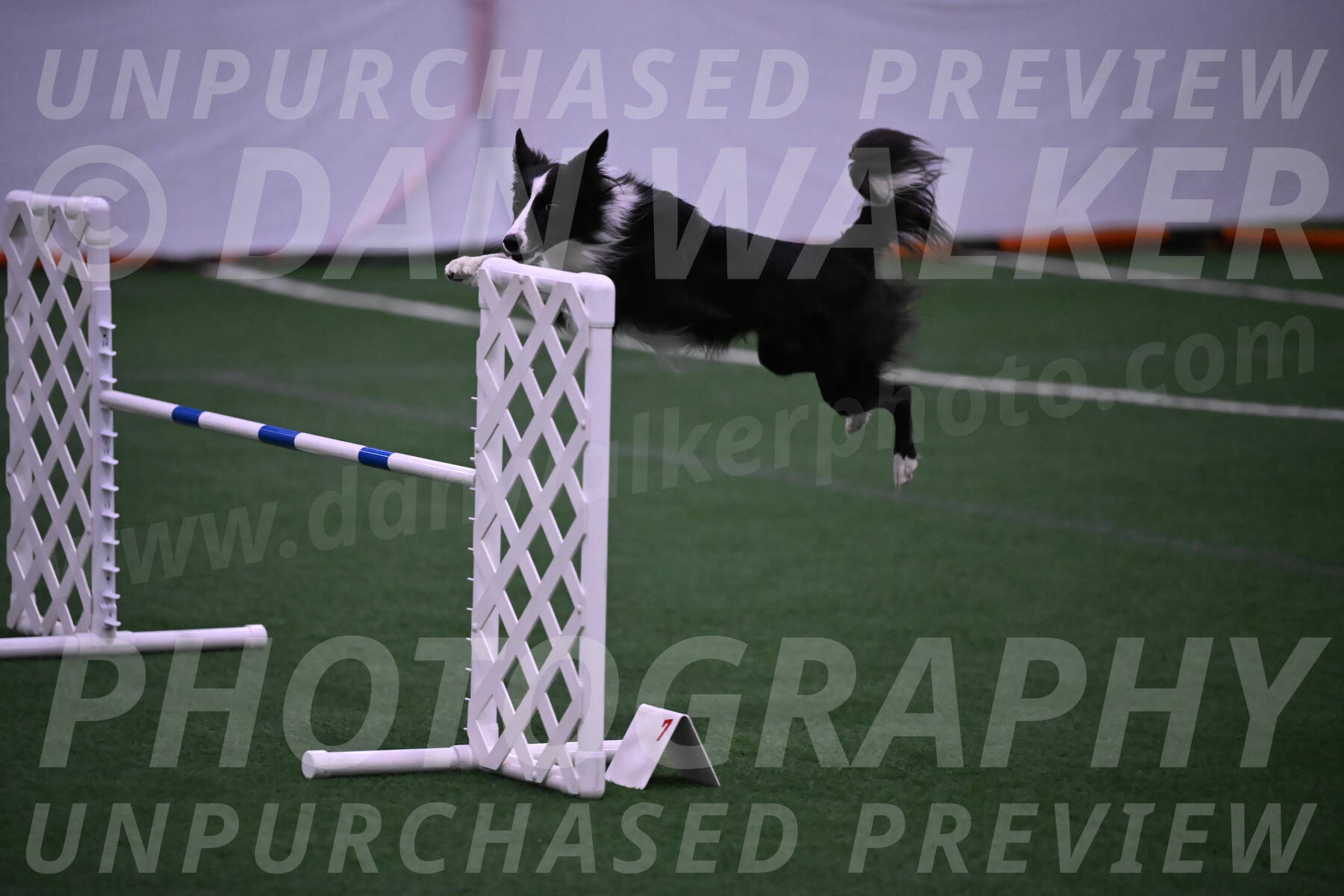 Keeper-Laurie-Wischt-02569