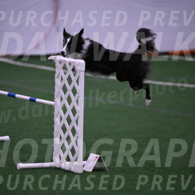 Keeper-Laurie-Wischt-02569