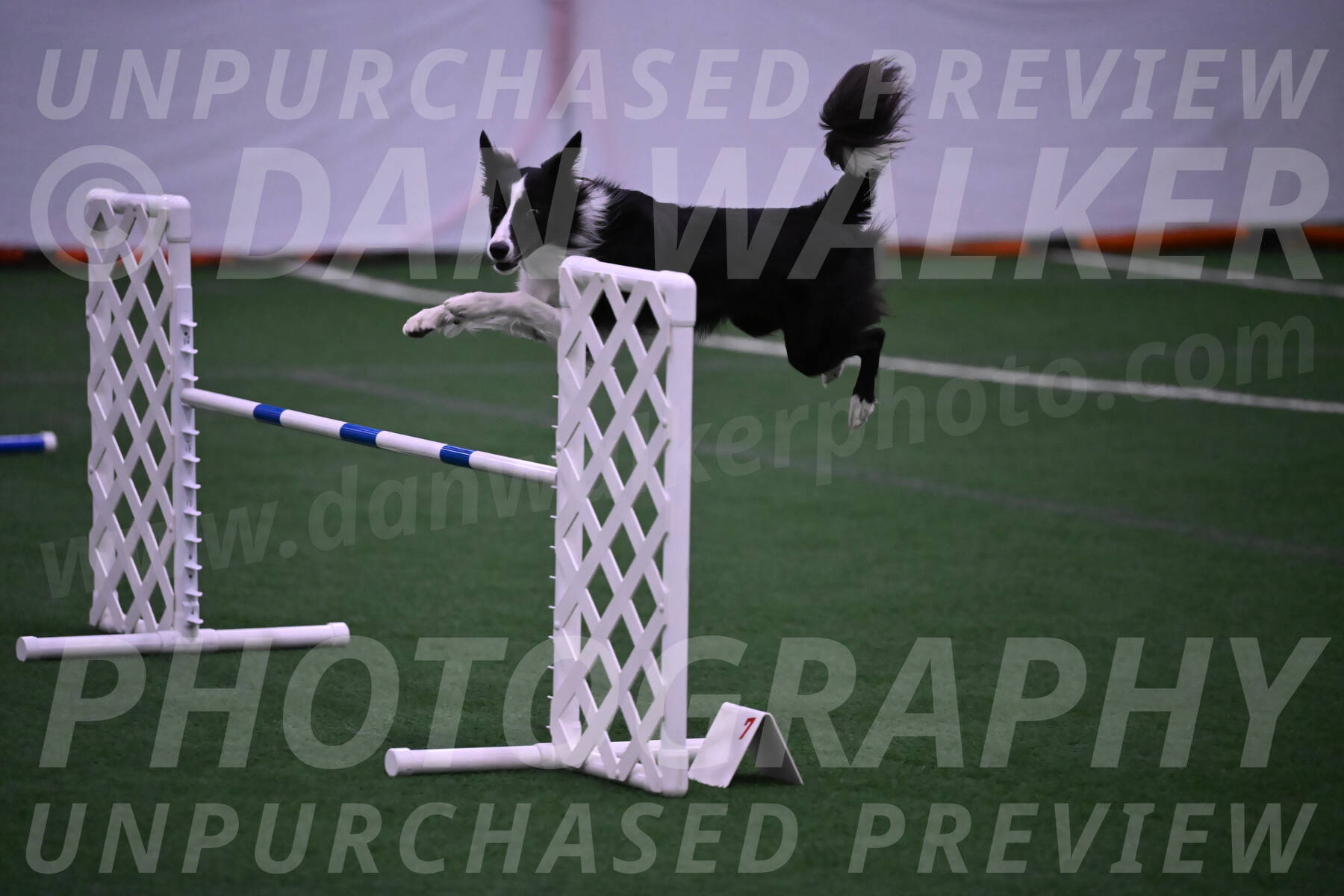 Keeper-Laurie-Wischt-02570