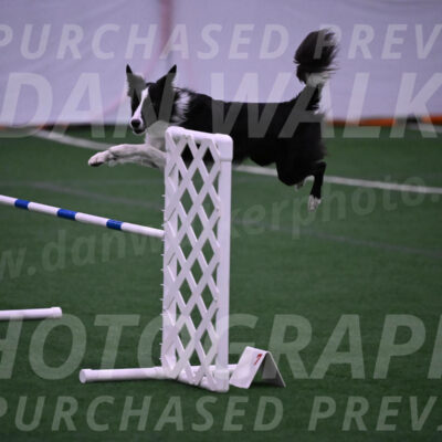 Keeper-Laurie-Wischt-02570