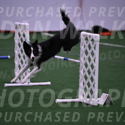 Keeper-Laurie-Wischt-02573