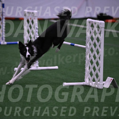 Keeper-Laurie-Wischt-02574