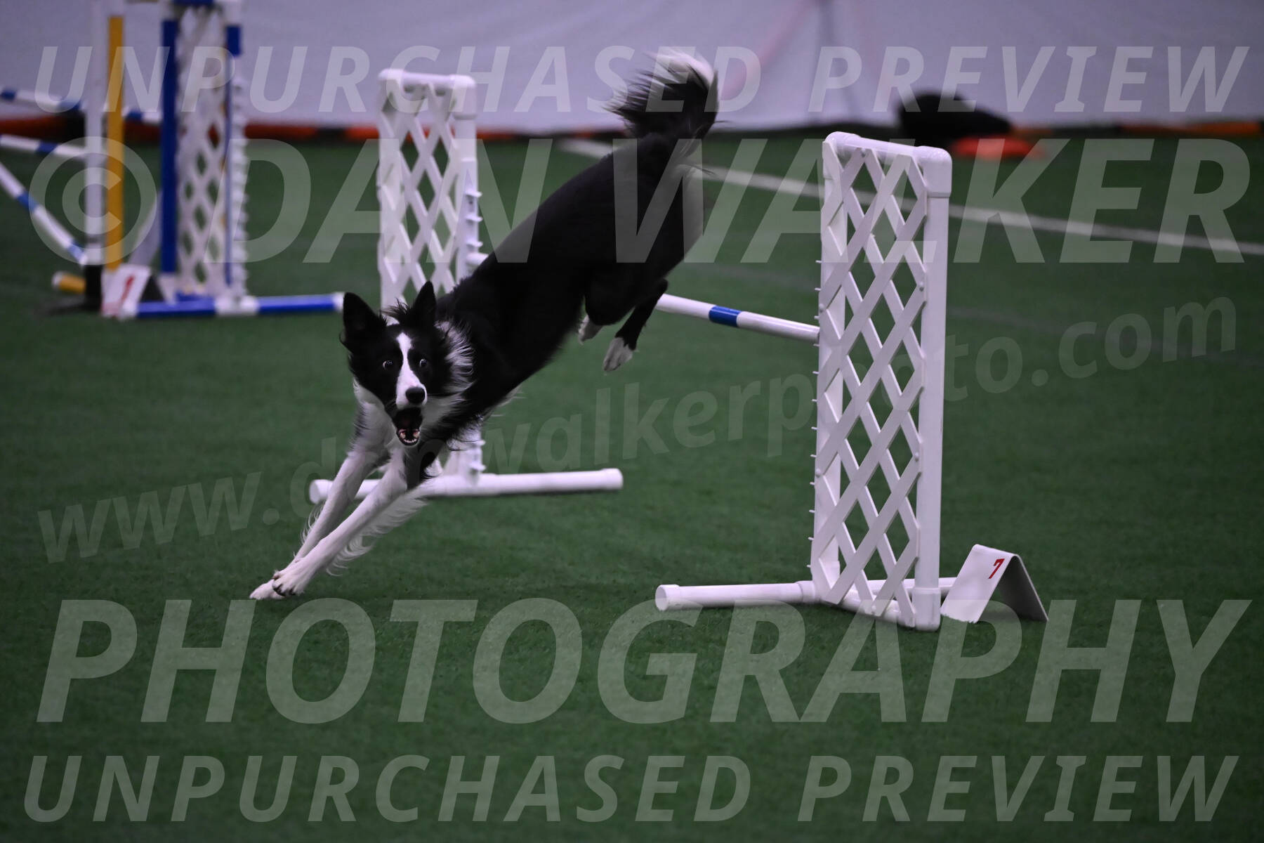 Keeper-Laurie-Wischt-02574