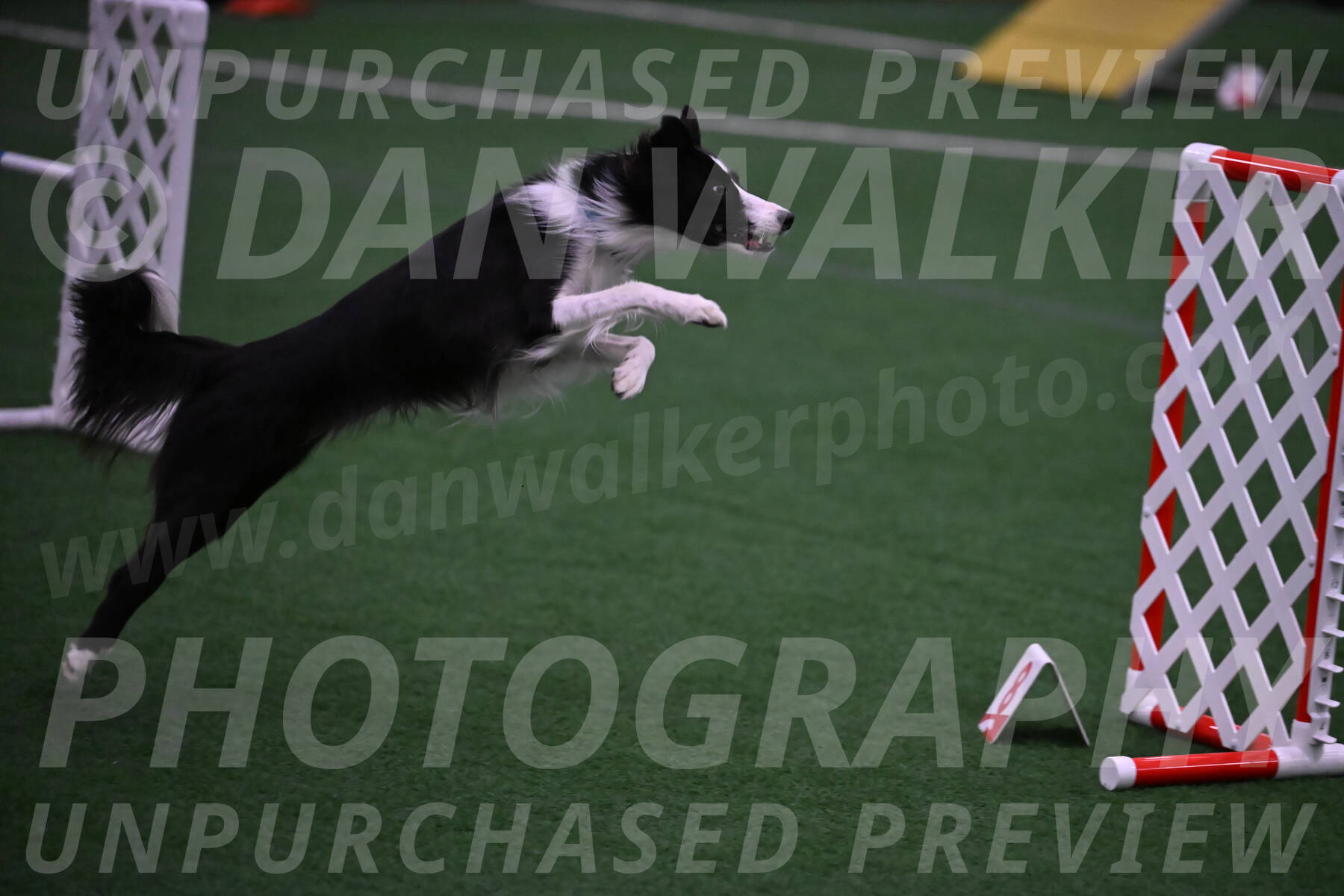 Keeper-Laurie-Wischt-02576
