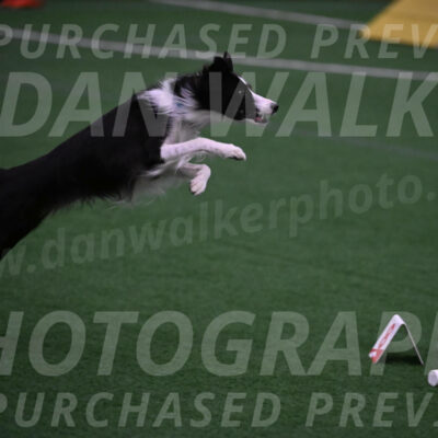 Keeper-Laurie-Wischt-02576