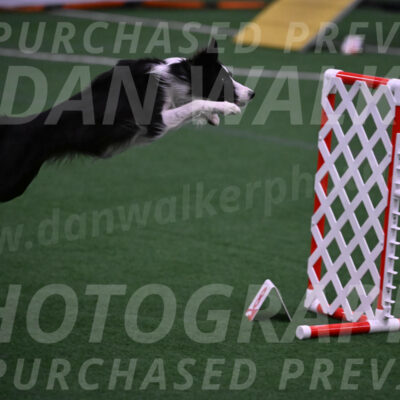 Keeper-Laurie-Wischt-02577