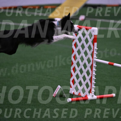 Keeper-Laurie-Wischt-02578