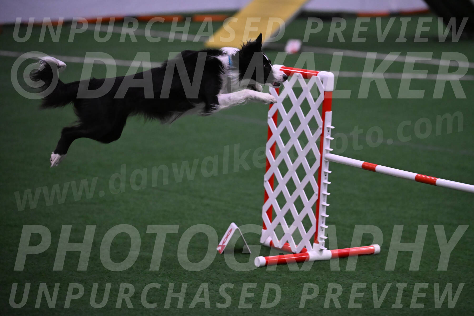 Keeper-Laurie-Wischt-02578
