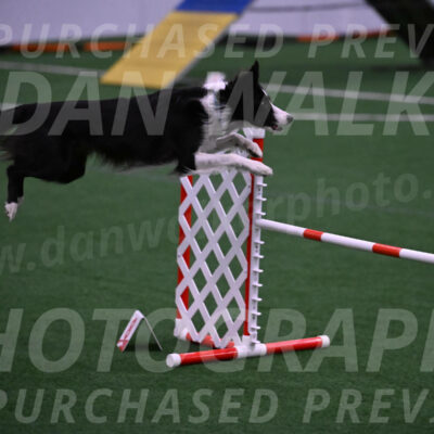 Keeper-Laurie-Wischt-02579