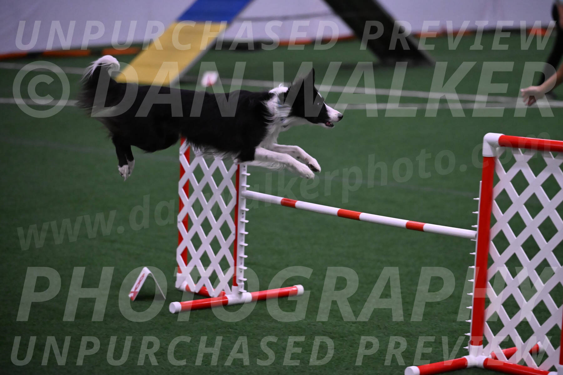 Keeper-Laurie-Wischt-02580
