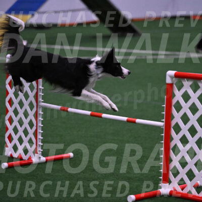 Keeper-Laurie-Wischt-02581