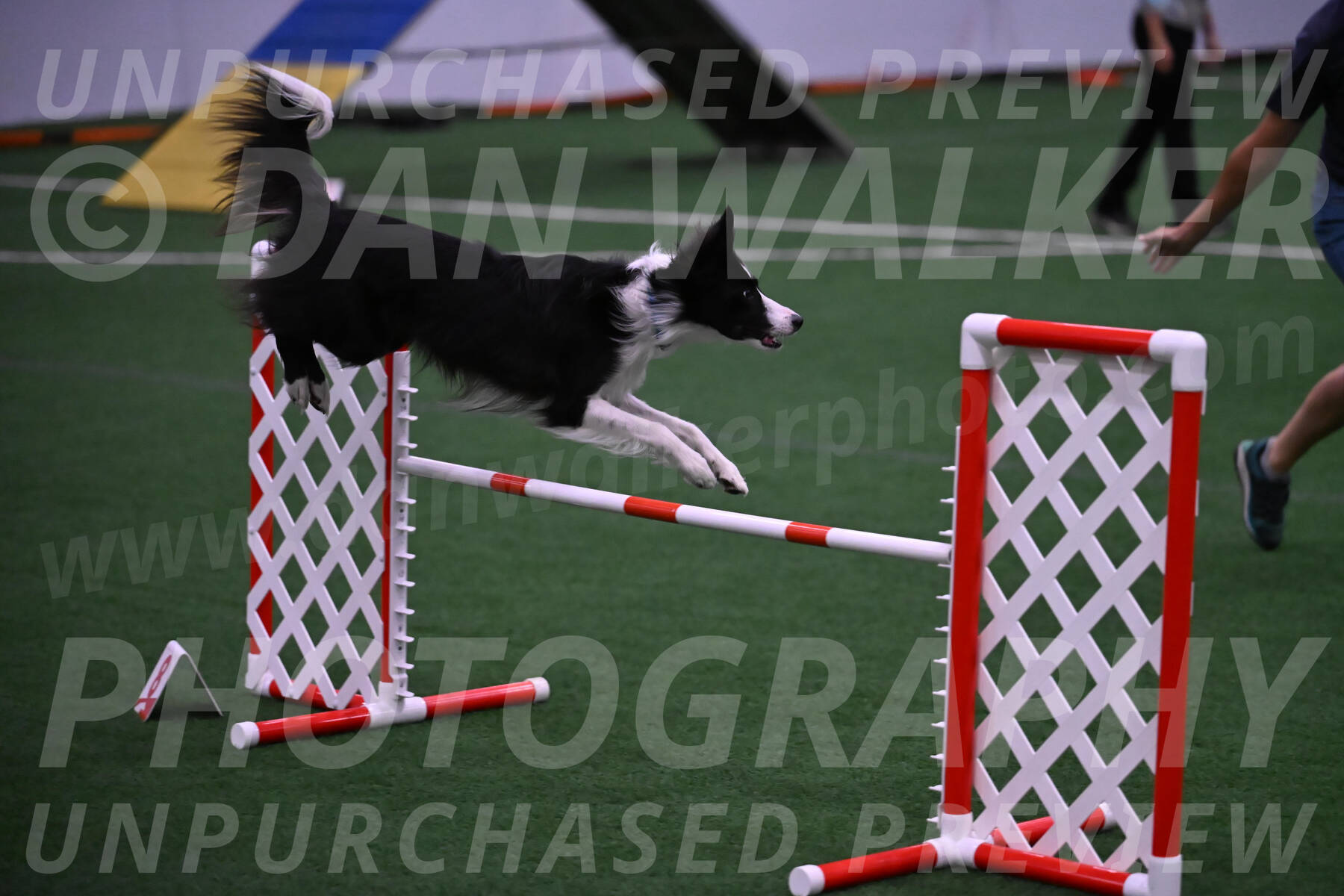 Keeper-Laurie-Wischt-02581