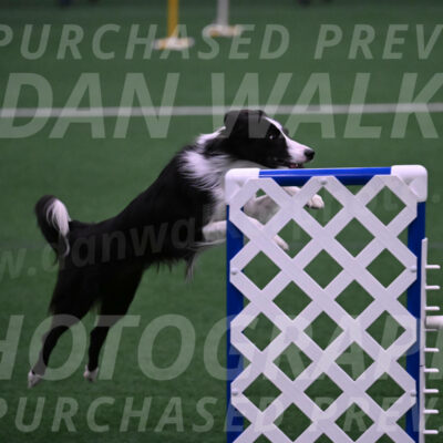 Keeper-Laurie-Wischt-02584