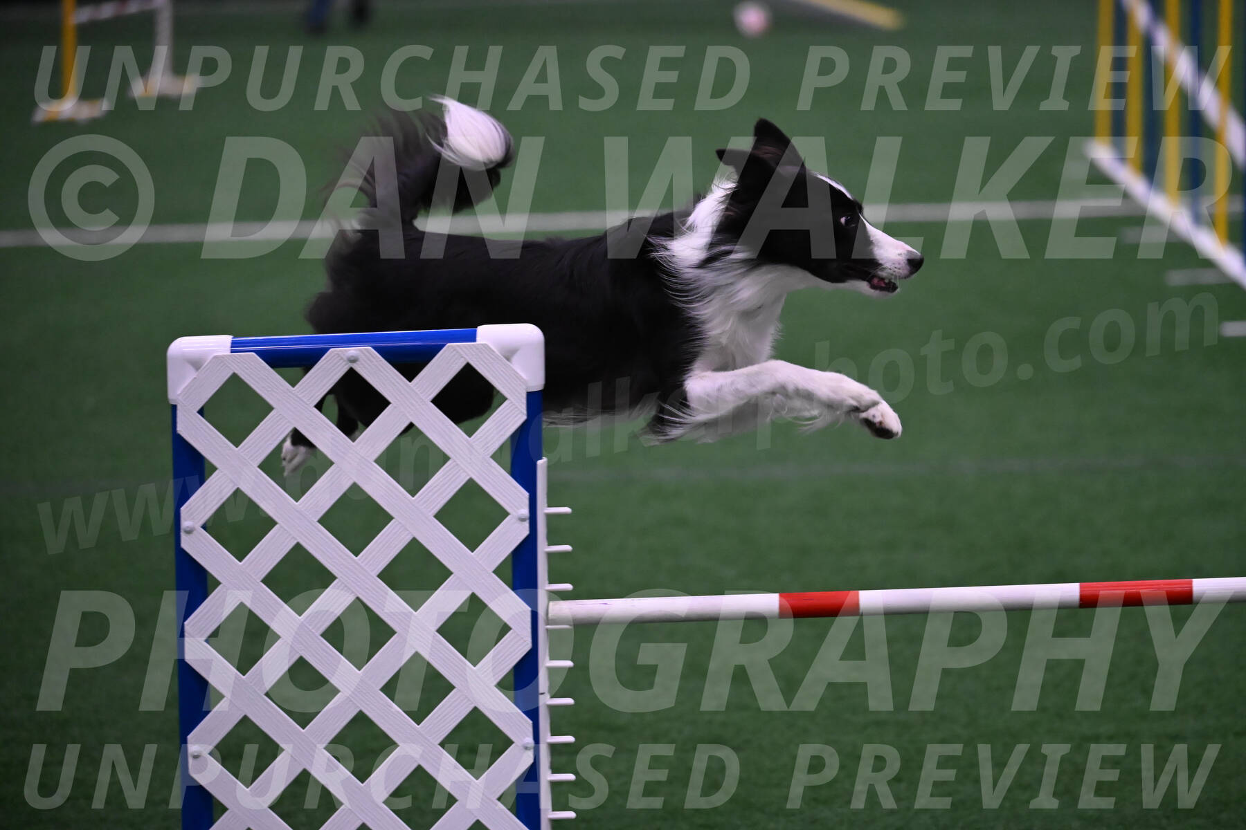 Keeper-Laurie-Wischt-02587