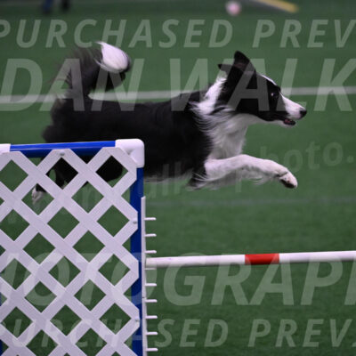 Keeper-Laurie-Wischt-02587