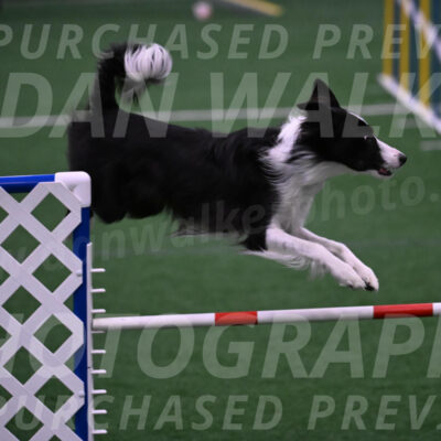 Keeper-Laurie-Wischt-02588