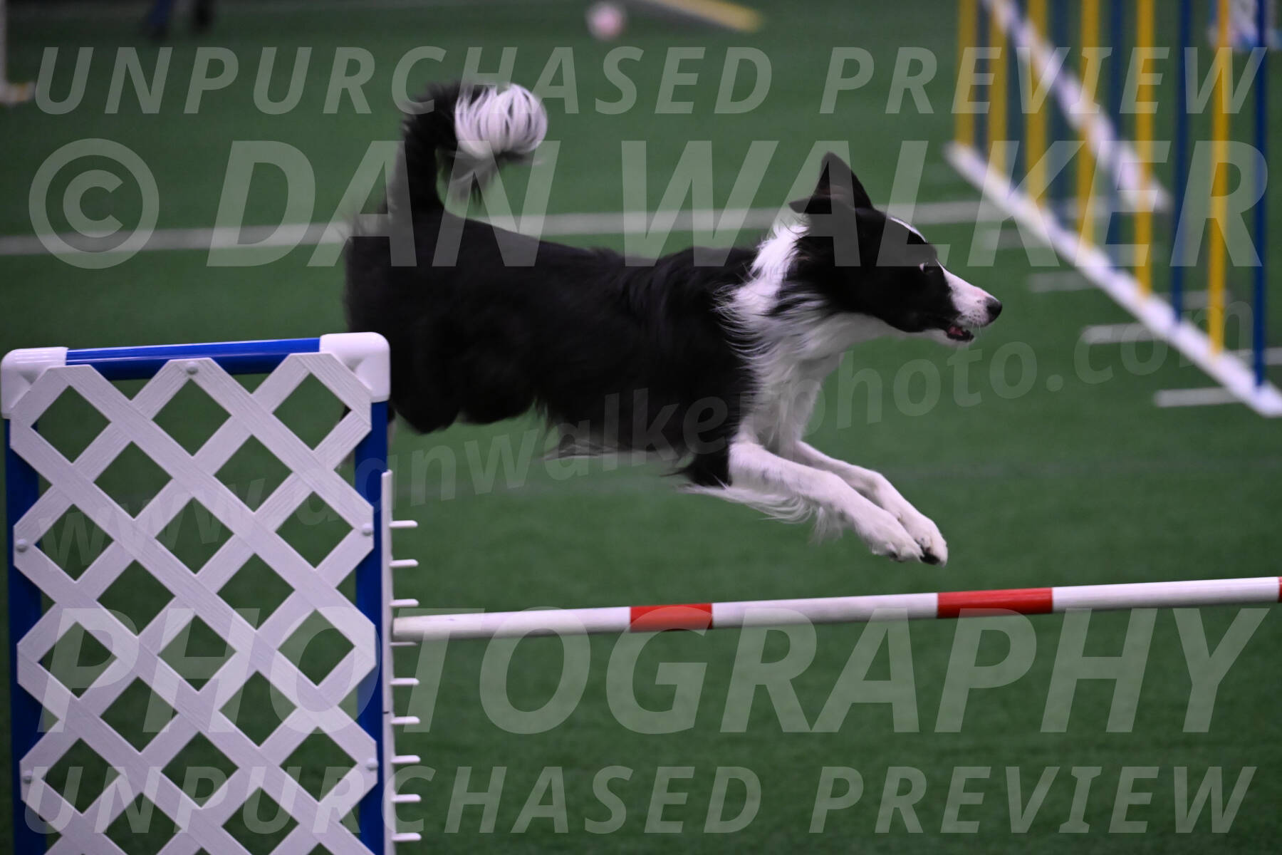 Keeper-Laurie-Wischt-02588