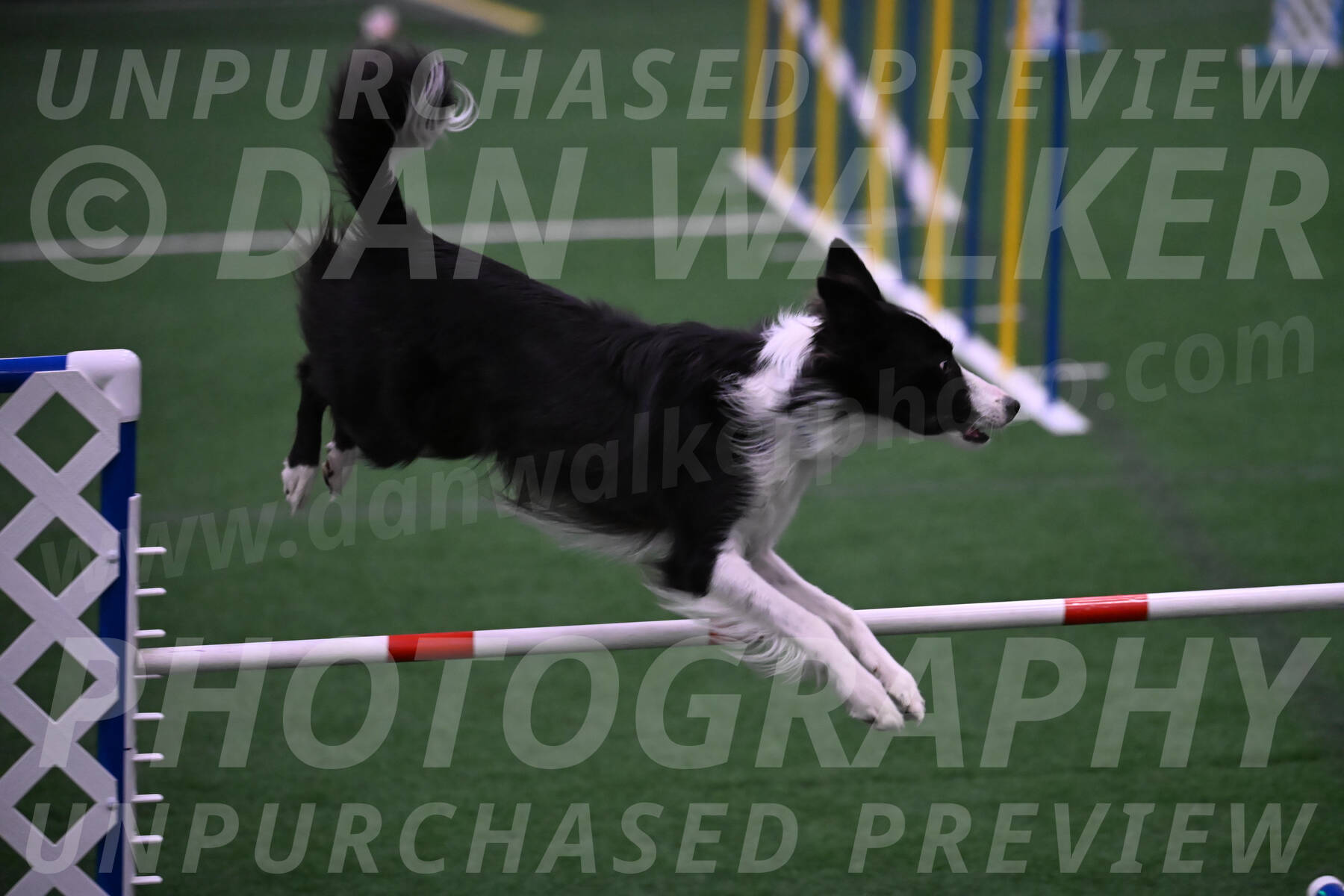 Keeper-Laurie-Wischt-02589