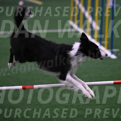 Keeper-Laurie-Wischt-02589