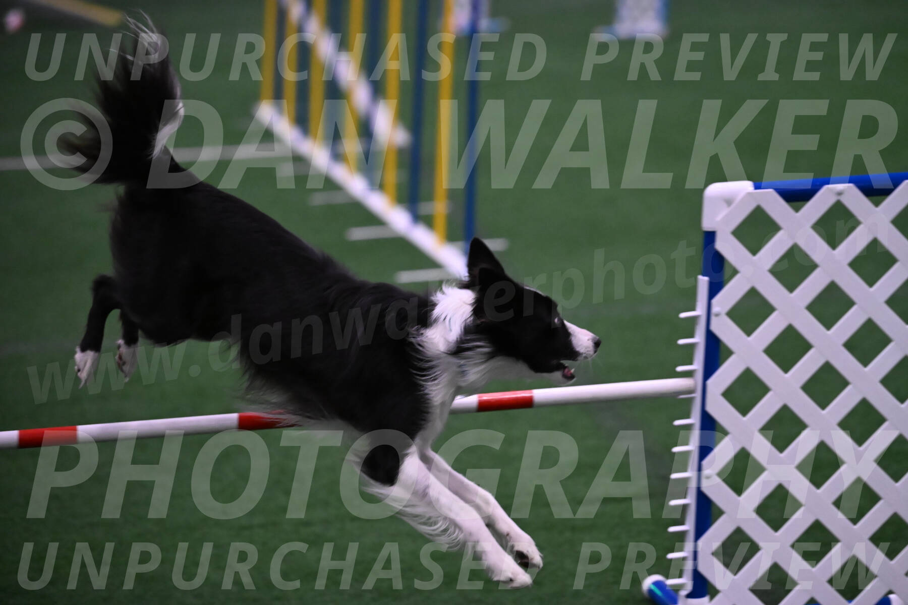 Keeper-Laurie-Wischt-02590
