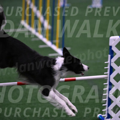Keeper-Laurie-Wischt-02590