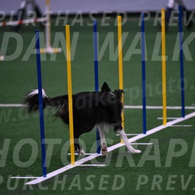 Keeper-Laurie-Wischt-02593