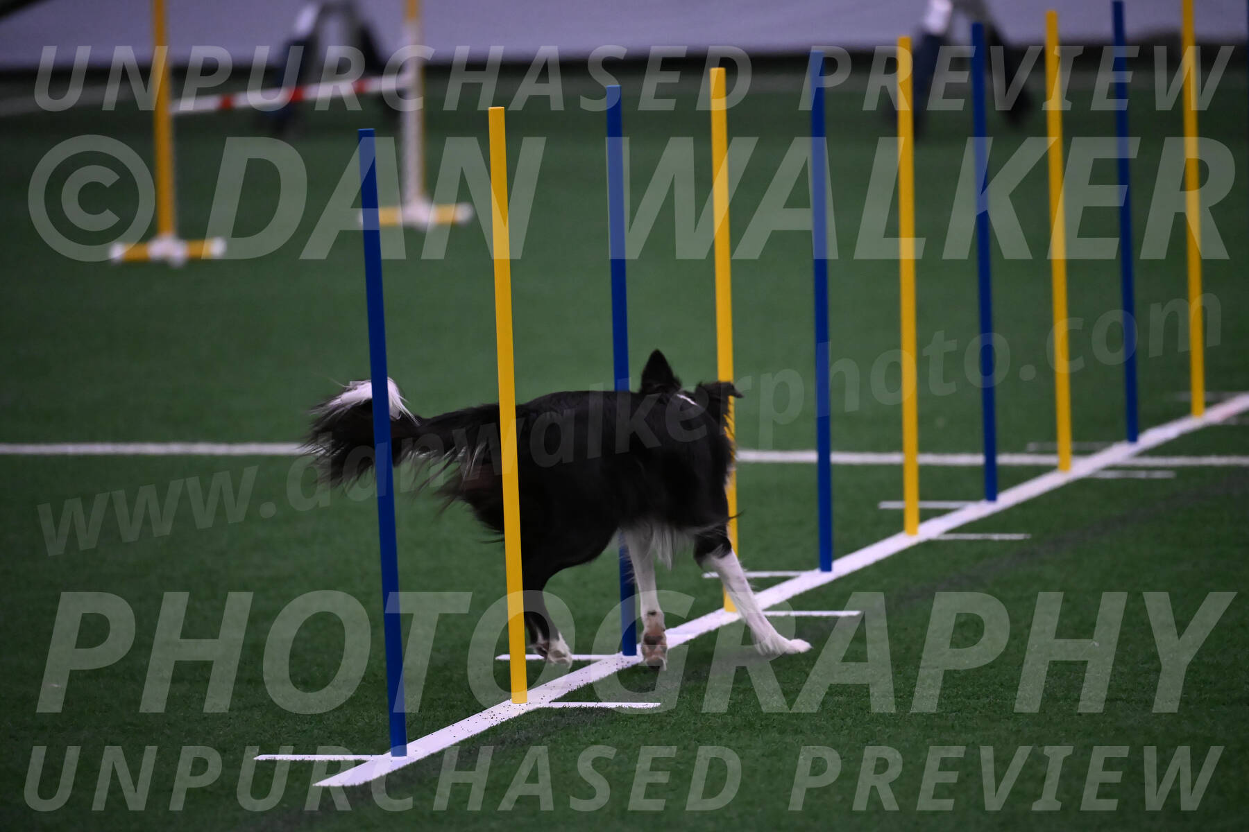 Keeper-Laurie-Wischt-02593