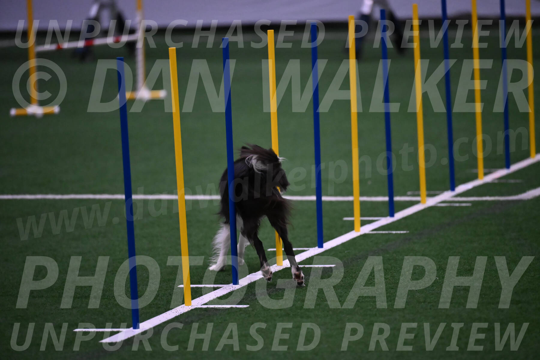 Keeper-Laurie-Wischt-02597