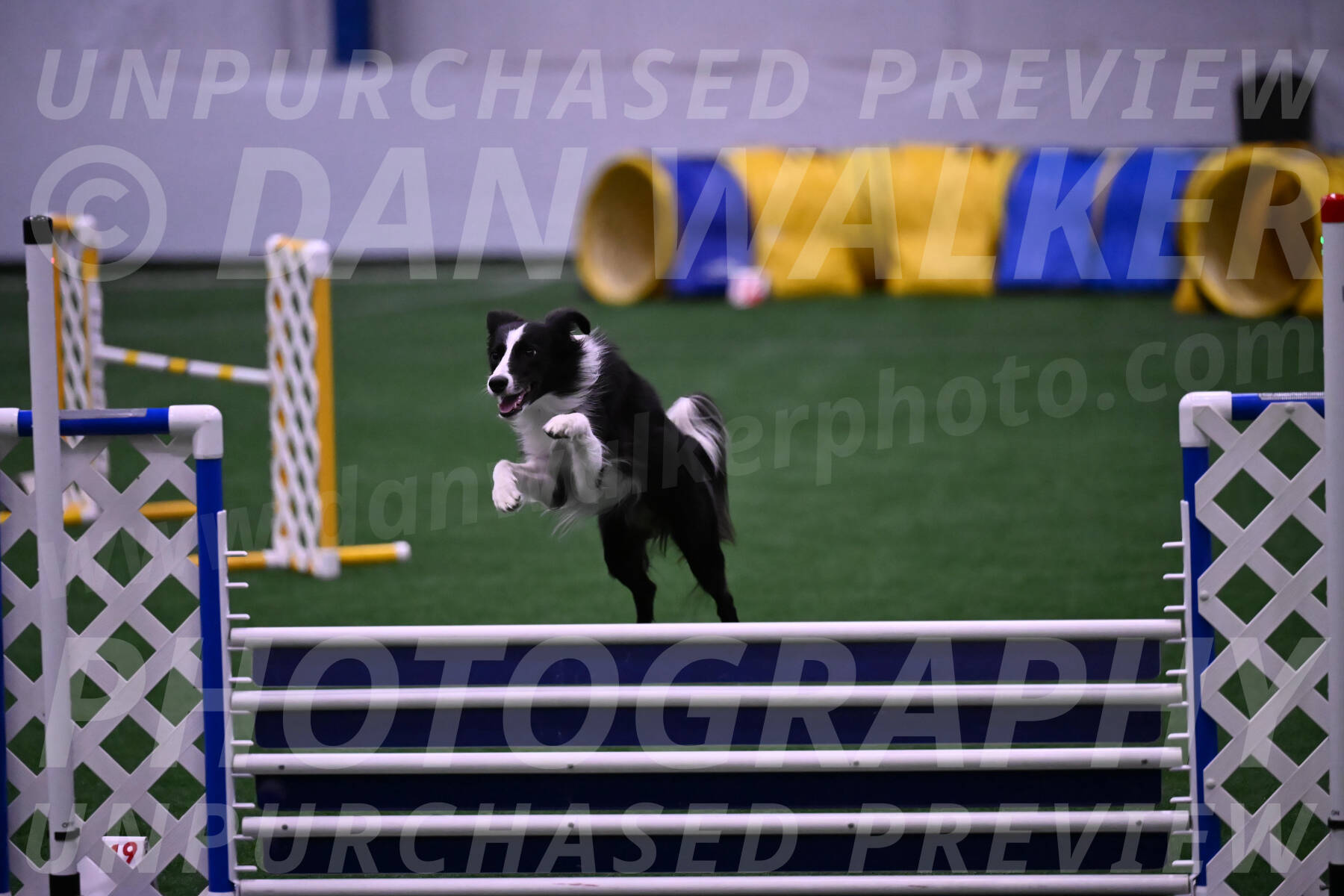 Keeper-Laurie-Wischt-02599