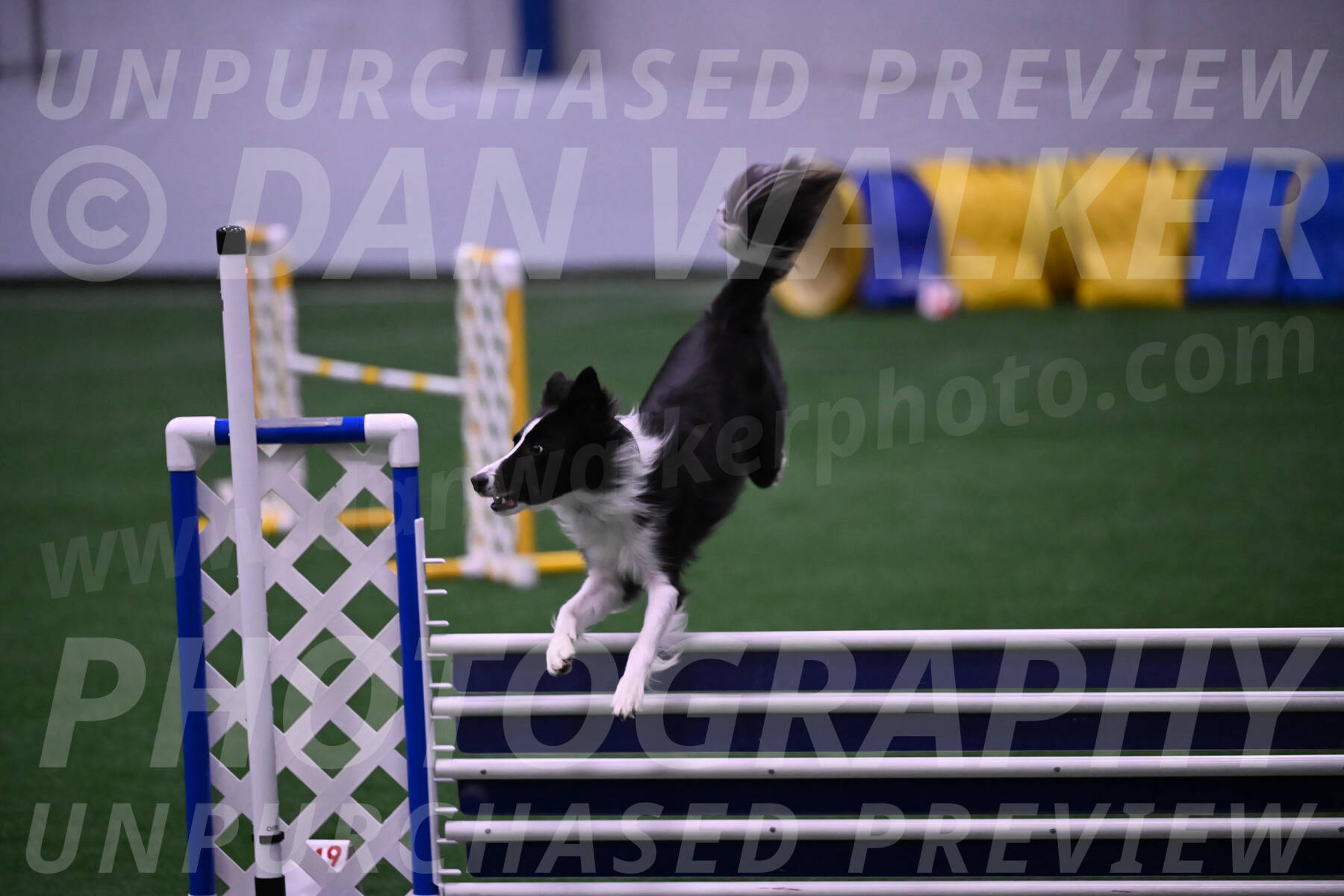 Keeper-Laurie-Wischt-02602