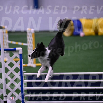 Keeper-Laurie-Wischt-02602