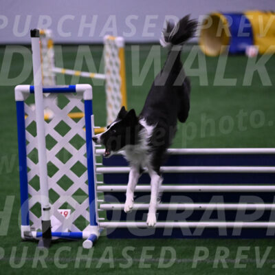 Keeper-Laurie-Wischt-02603