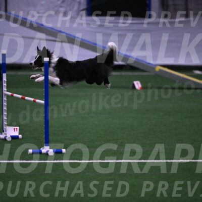 Keeper-Laurie-Wischt-02604