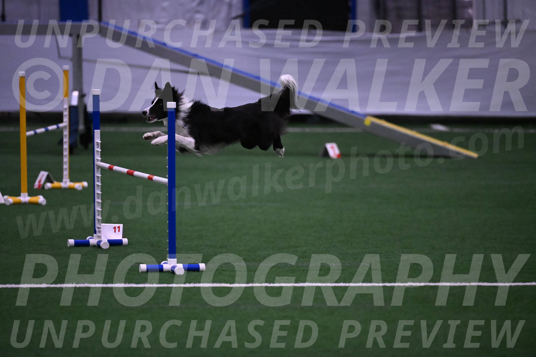 Keeper-Laurie-Wischt-02604