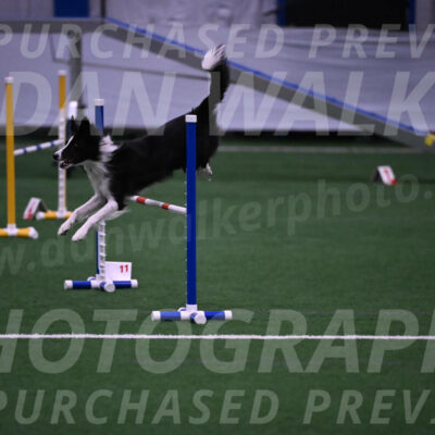 Keeper-Laurie-Wischt-02606