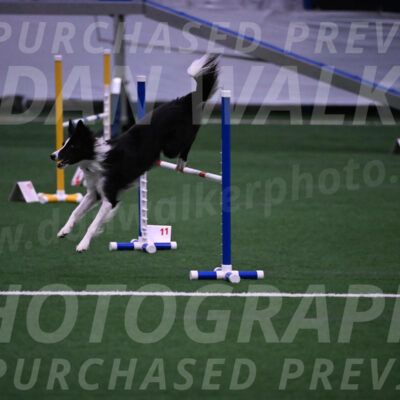 Keeper-Laurie-Wischt-02607
