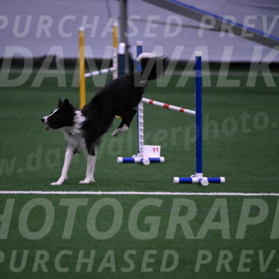 Keeper-Laurie-Wischt-02608