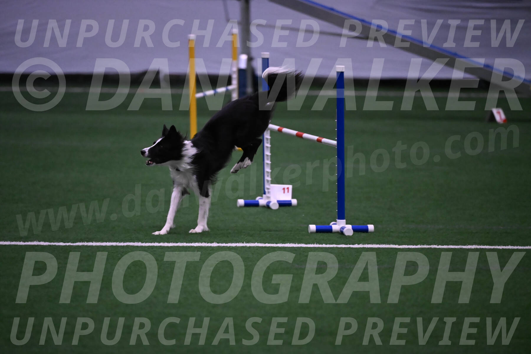 Keeper-Laurie-Wischt-02608