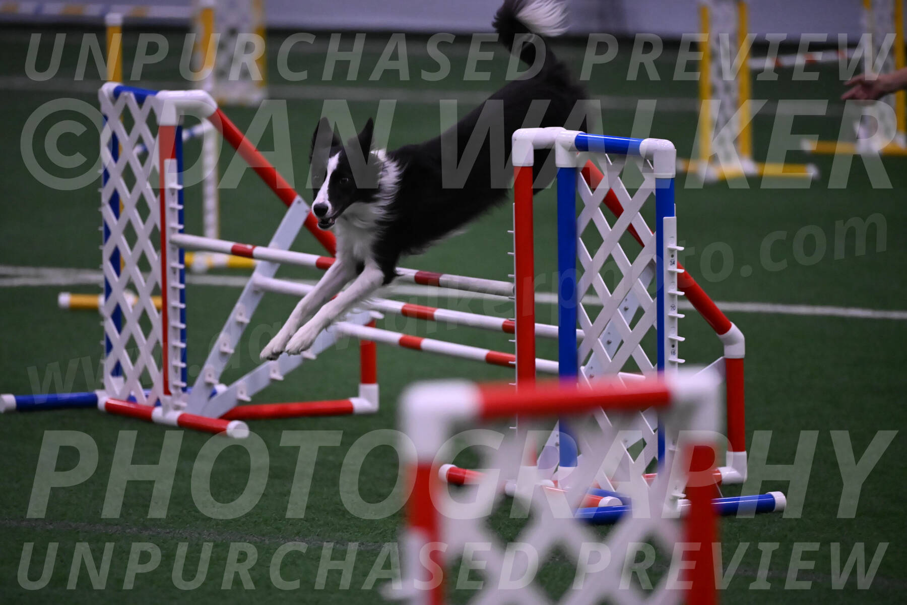 Keeper-Laurie-Wischt-02613