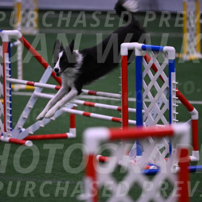 Keeper-Laurie-Wischt-02613