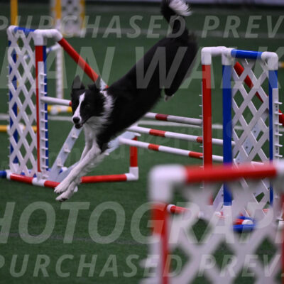 Keeper-Laurie-Wischt-02614