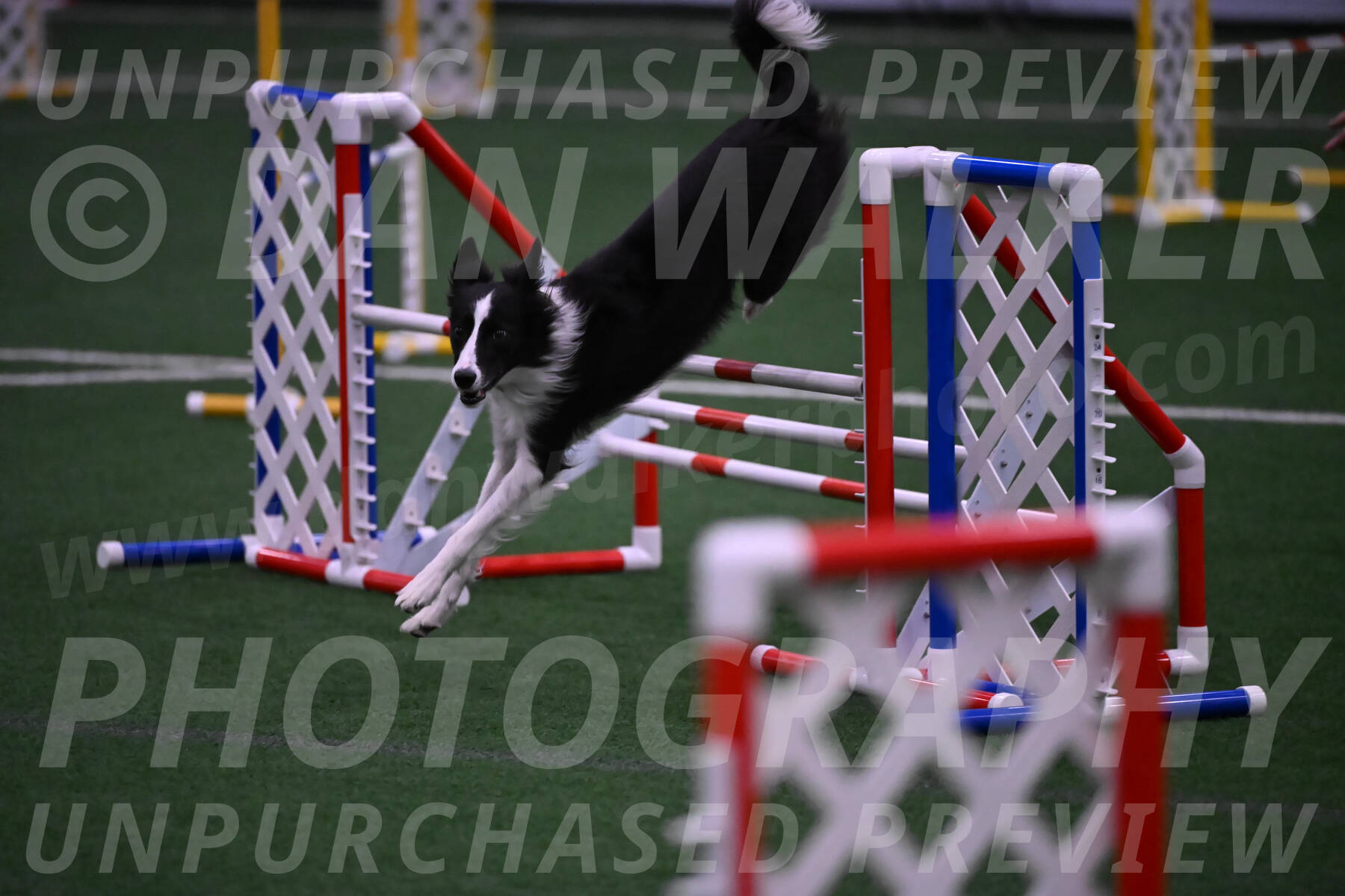 Keeper-Laurie-Wischt-02614