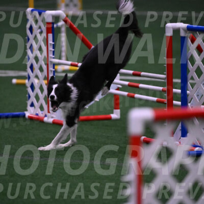 Keeper-Laurie-Wischt-02615