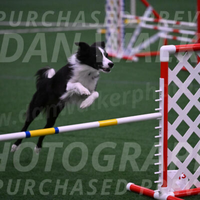 Keeper-Laurie-Wischt-02618