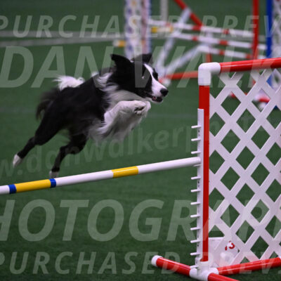 Keeper-Laurie-Wischt-02619