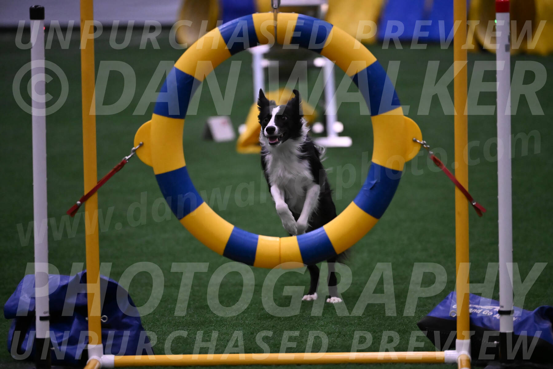 Keeper-Laurie-Wischt-02625