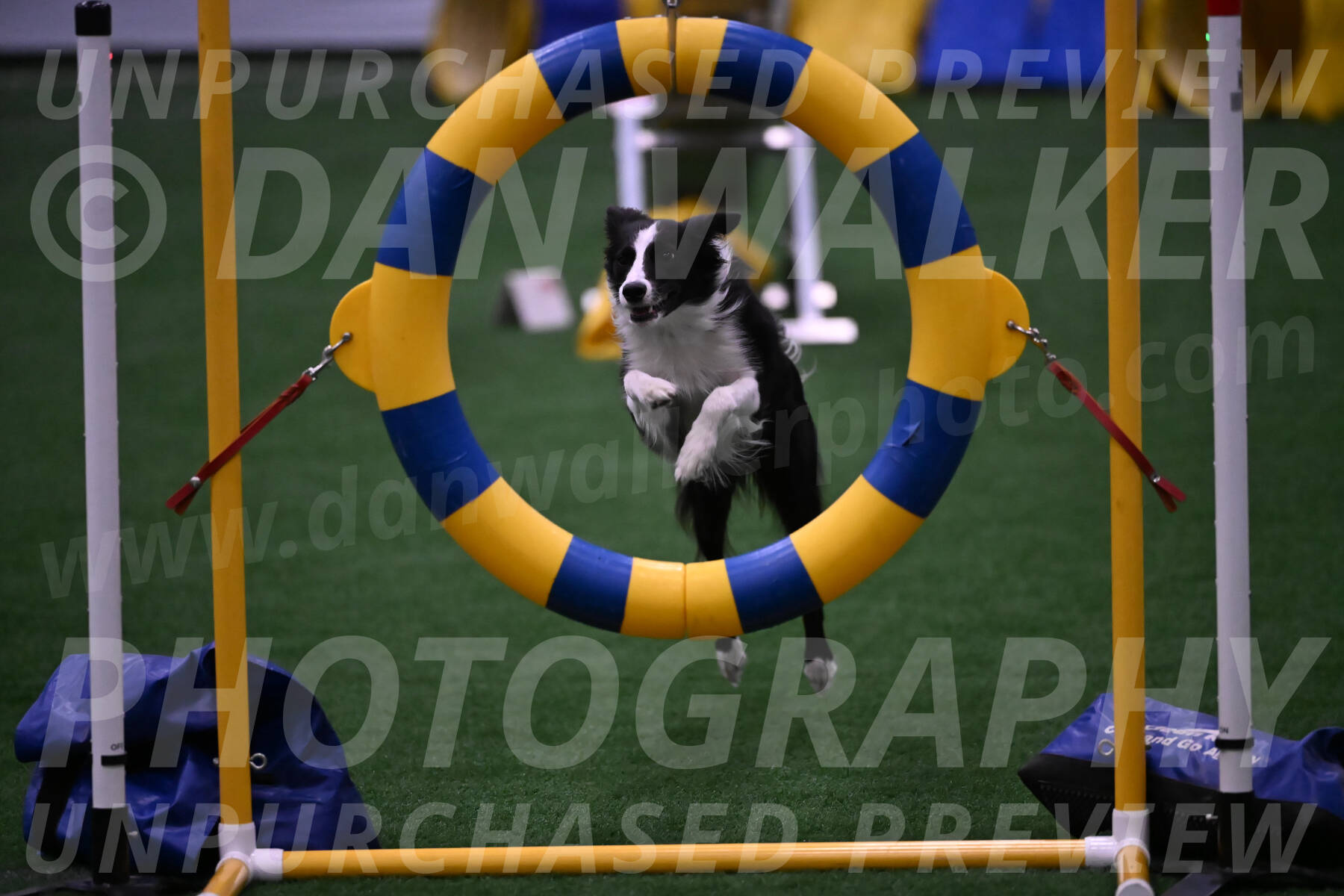 Keeper-Laurie-Wischt-02626