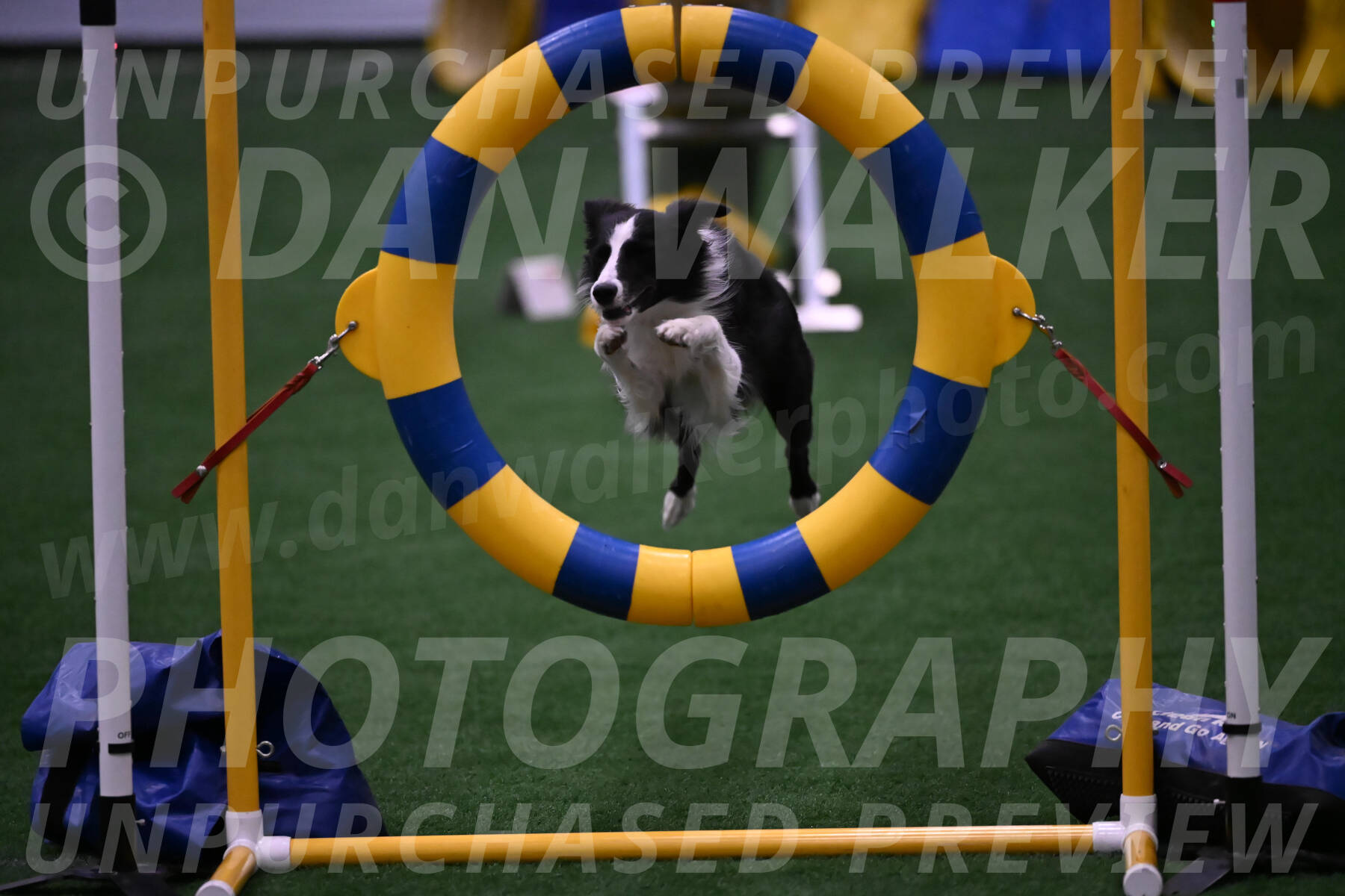 Keeper-Laurie-Wischt-02627