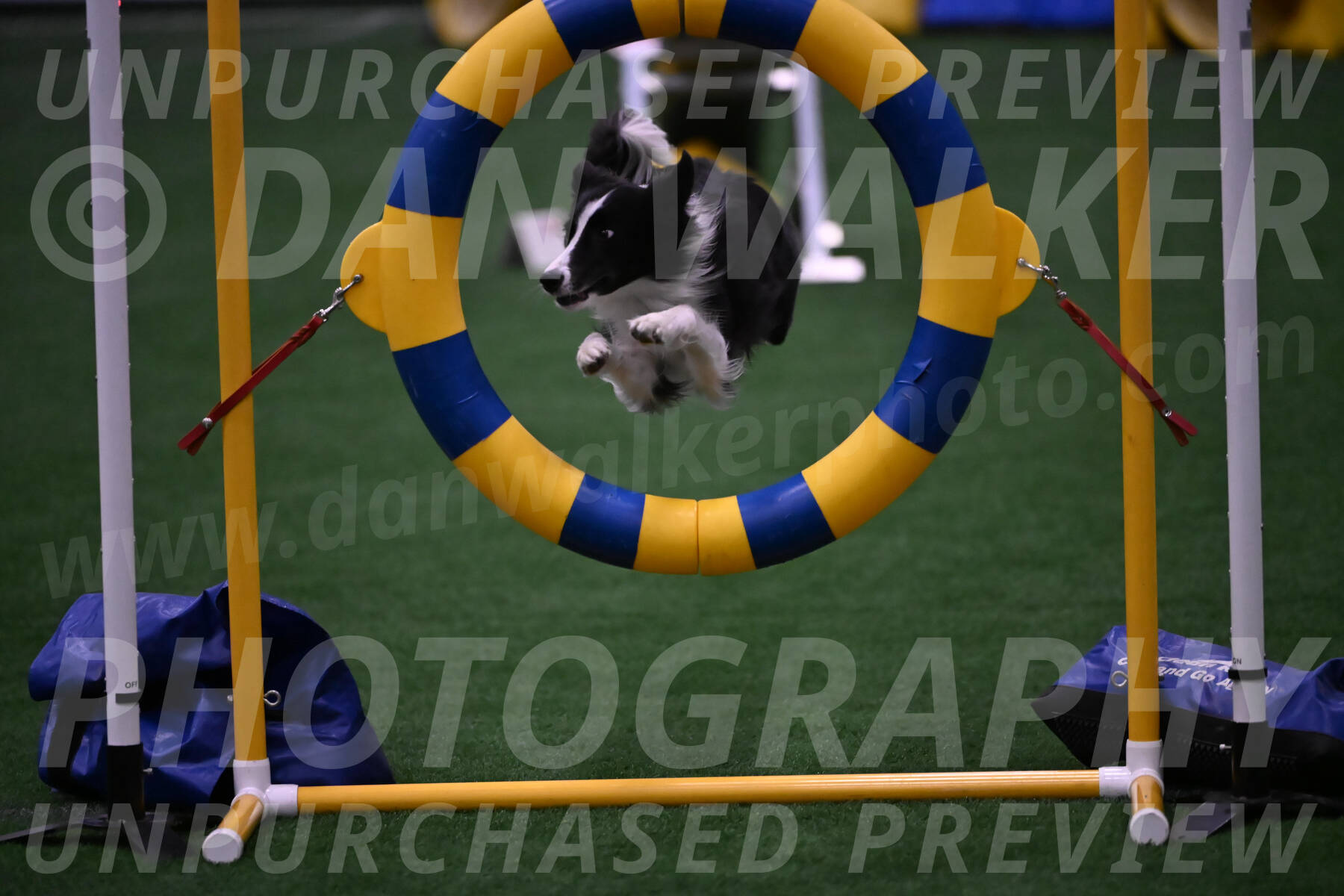 Keeper-Laurie-Wischt-02628